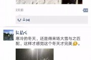 重返未来新爆料最新消息,揭秘未来科技与人类命运新篇章