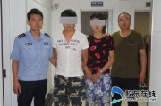 逃犯在线观看,网络追逃的惊心动魄之旅