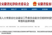 大皖新闻爆料最新消息,重大事件引发社会关注