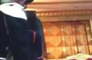 主播冰心爆料视频在线观看,揭秘幕后真相，带你走进直播圈