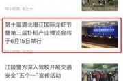 湖北新闻爆料投诉,投诉事件引发社会关注